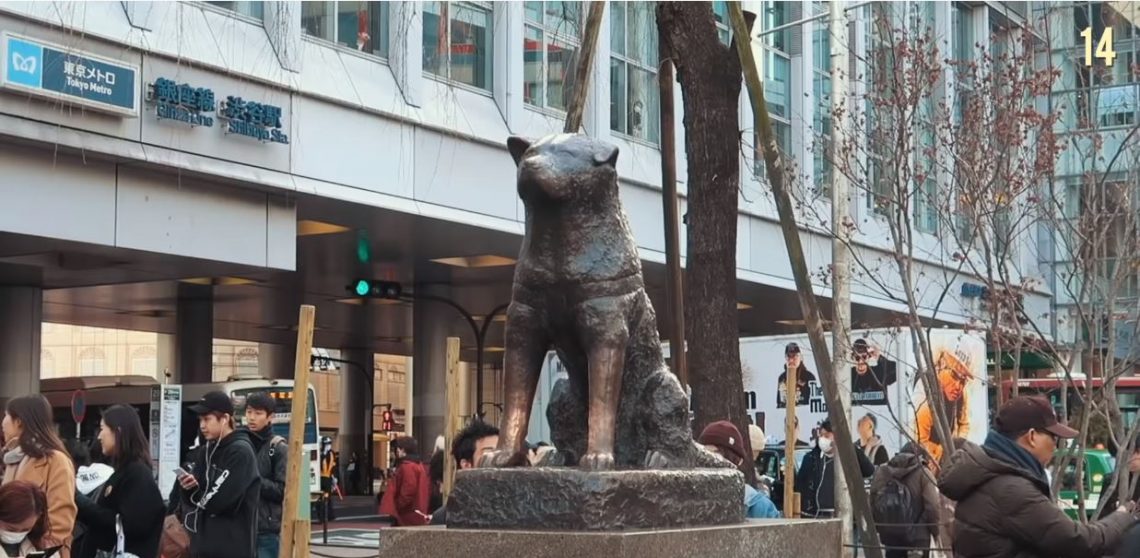 Hachiko