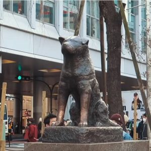 Hachiko