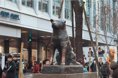 Hachiko