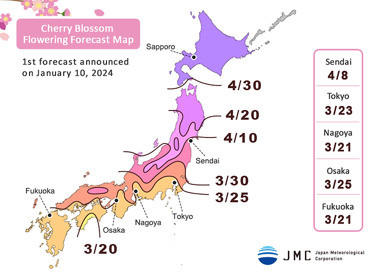 Japan sakura days