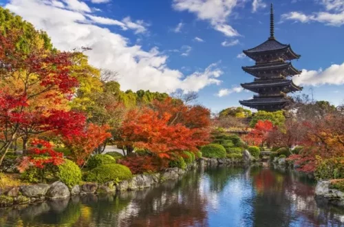japan foliage